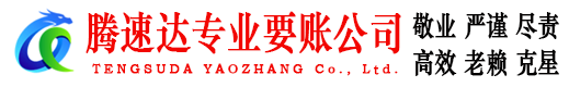 滨海新区腾速达追账公司
